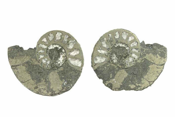 Pyritized Cut Ammonite Fossil Pair - Morocco #276688